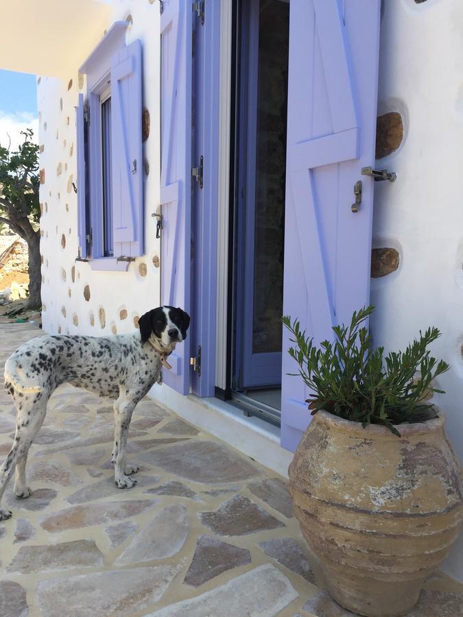 Good Life Greece Eco Villas Posidhonía Exterior photo